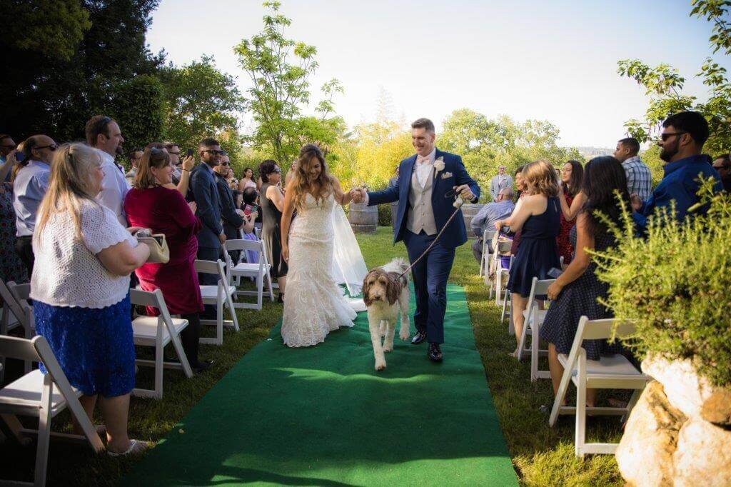 Bride and groom celebrate as they walk back down the aisle after they got married with their dog.