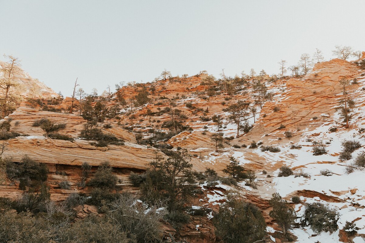 Zion-National-Park-14