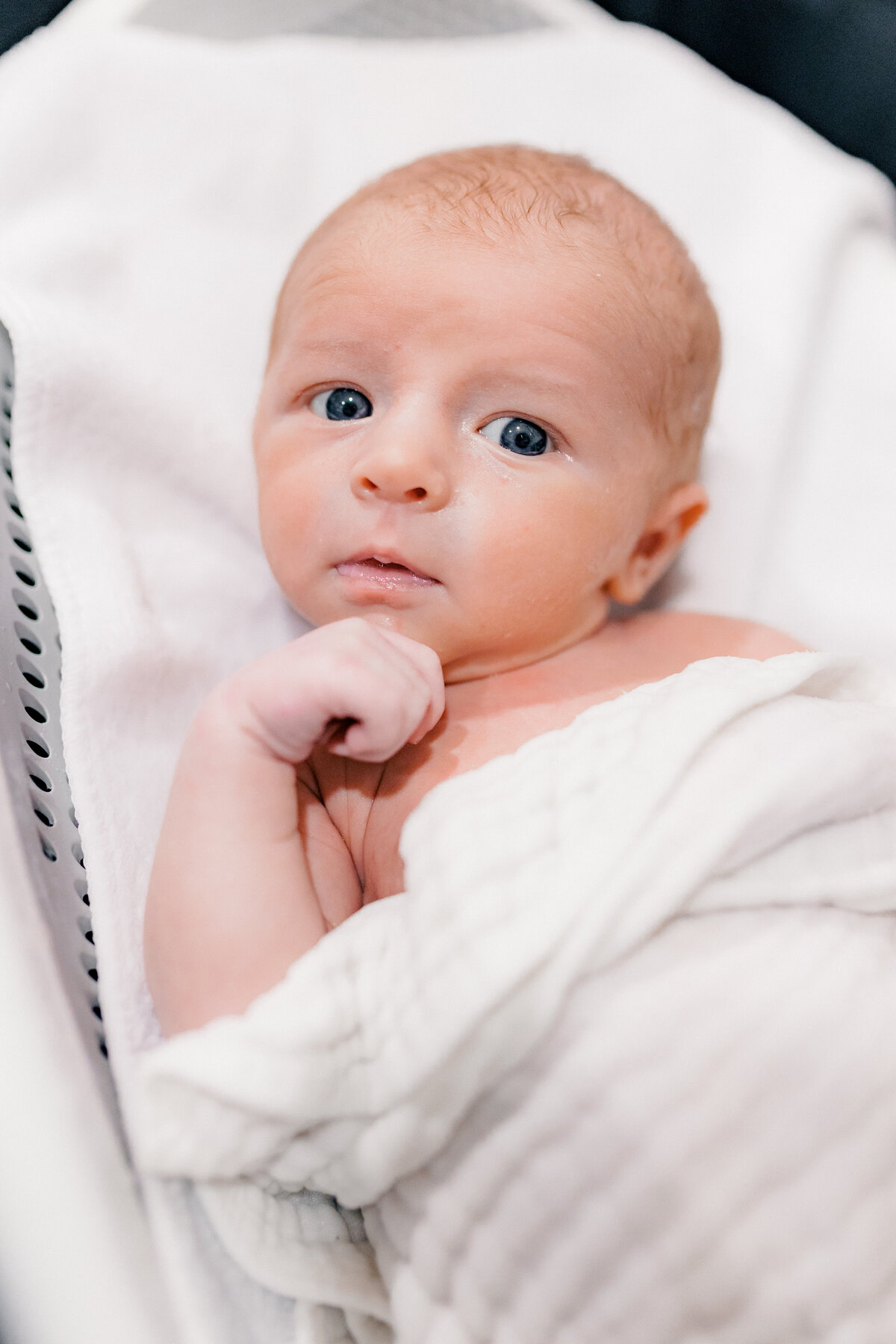 Foster_Newborn-100