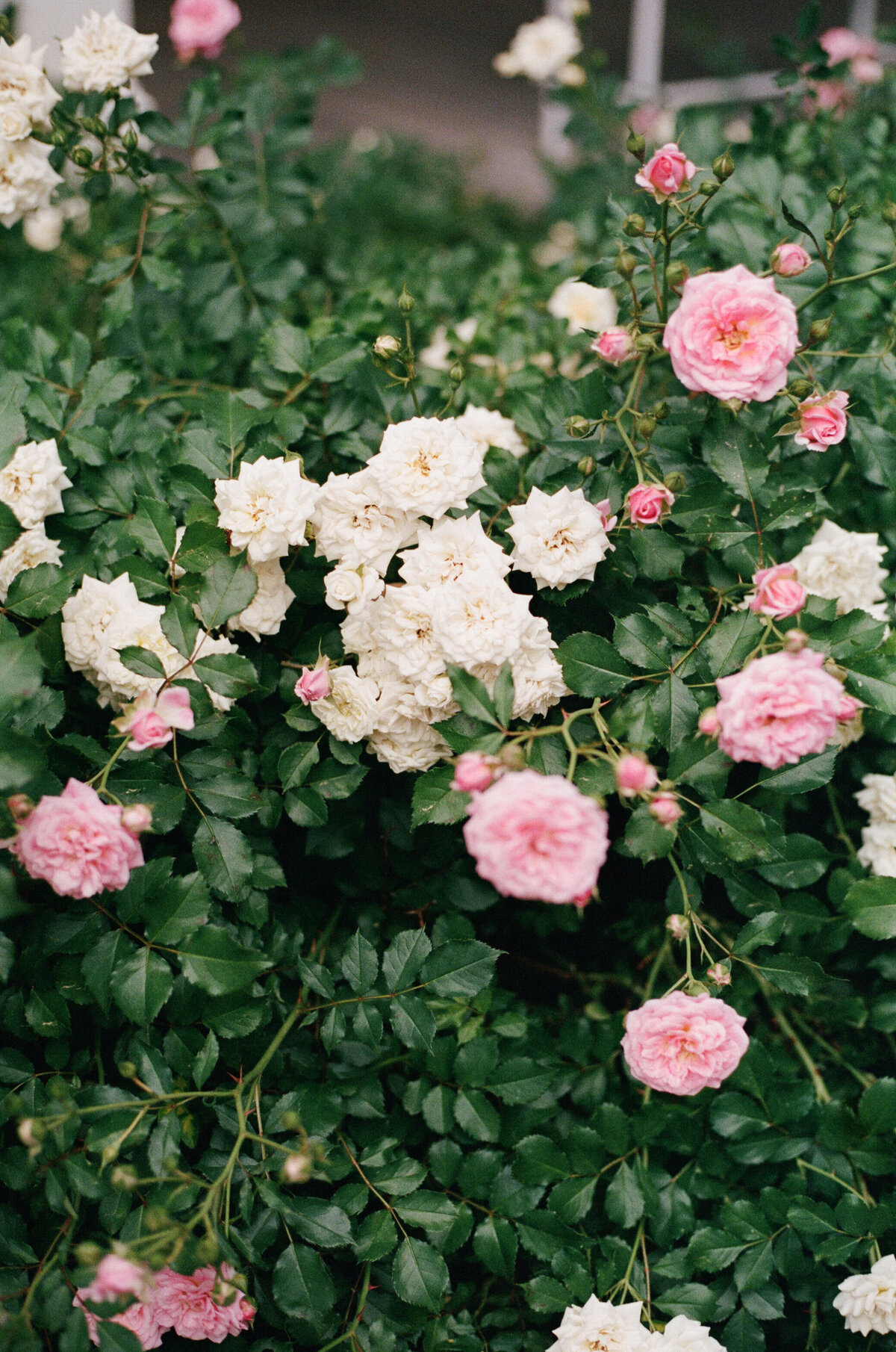 Top Hotel Photographer, Fairville Inn_166796