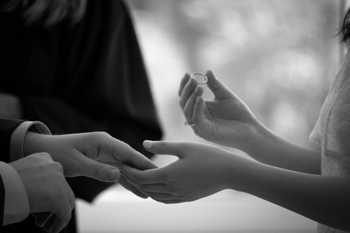 vows-exchange-intimate-courthouse-wedding-photography-seattle-washington