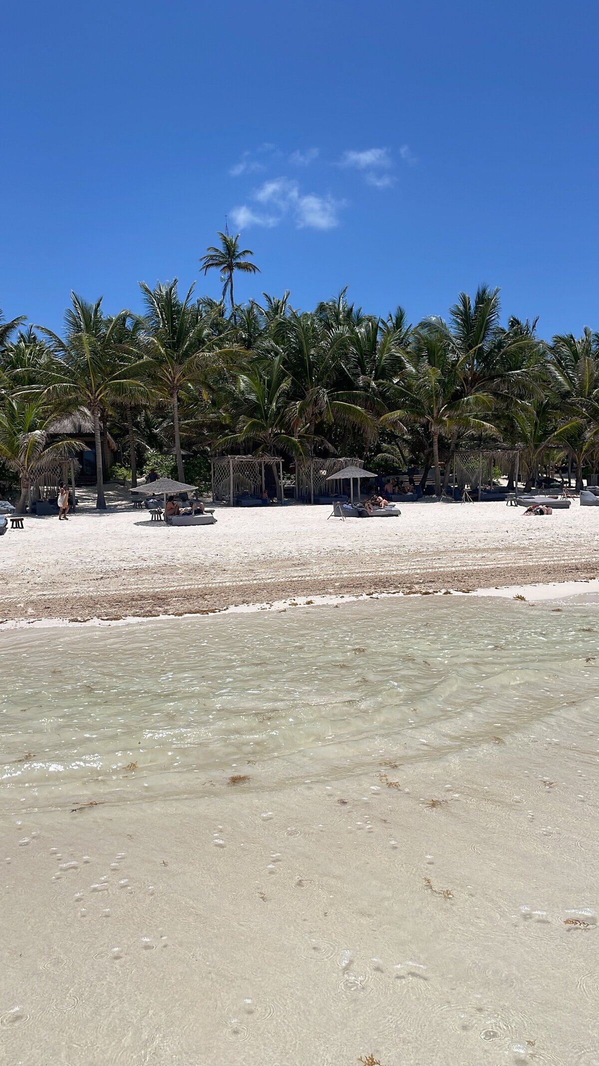 Palms Real Estate Group - Mistiq Temple Tulum2