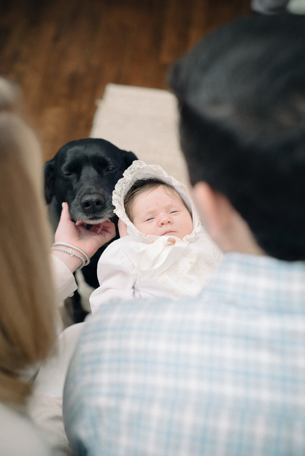 The cutest dog and newborn baby photos in Birmingham, AL