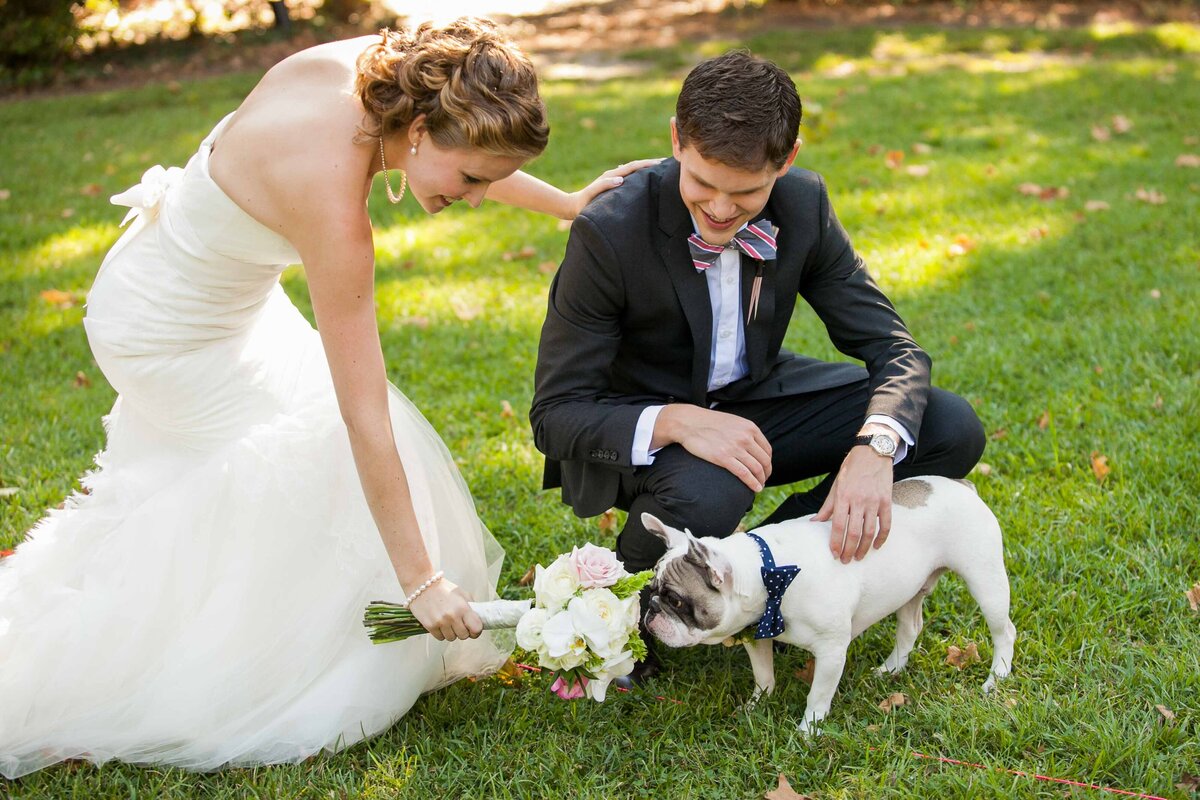 eloping-with-dogs