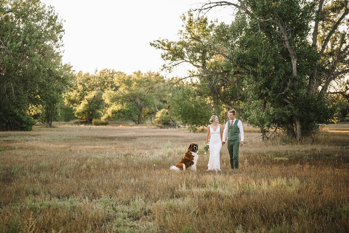 Bride and groom take photos on their wedding day with their dog surrounded by trees in Colorado.