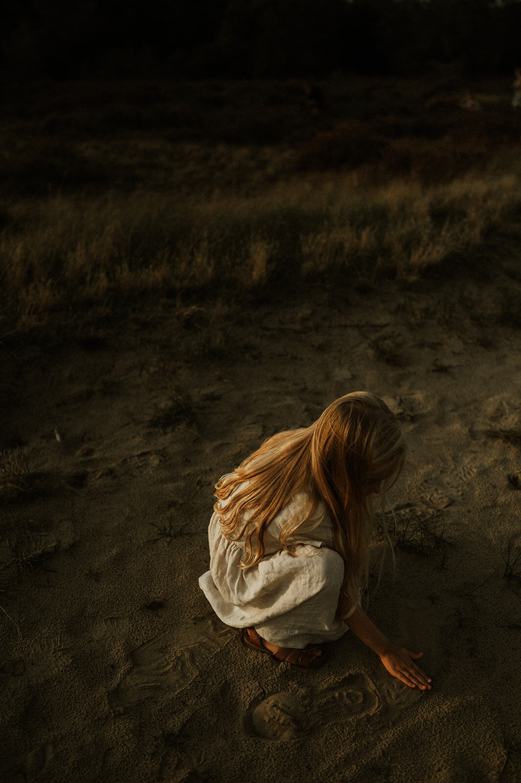 Gezinsfotografie in Nijlen tijdens golden hour – pure, spontane momenten vastgelegd in de heide.