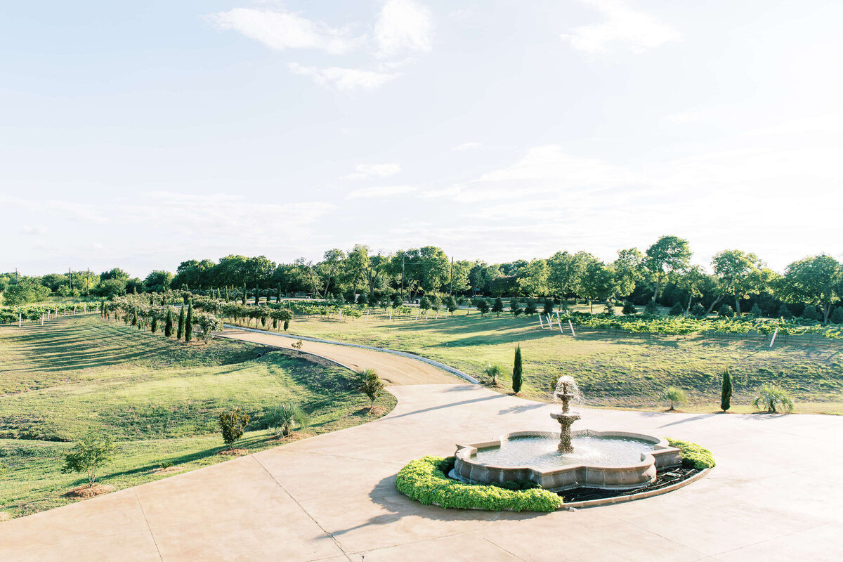 D'Vine Grace Vineyard landscape at McKinney Texas wedding