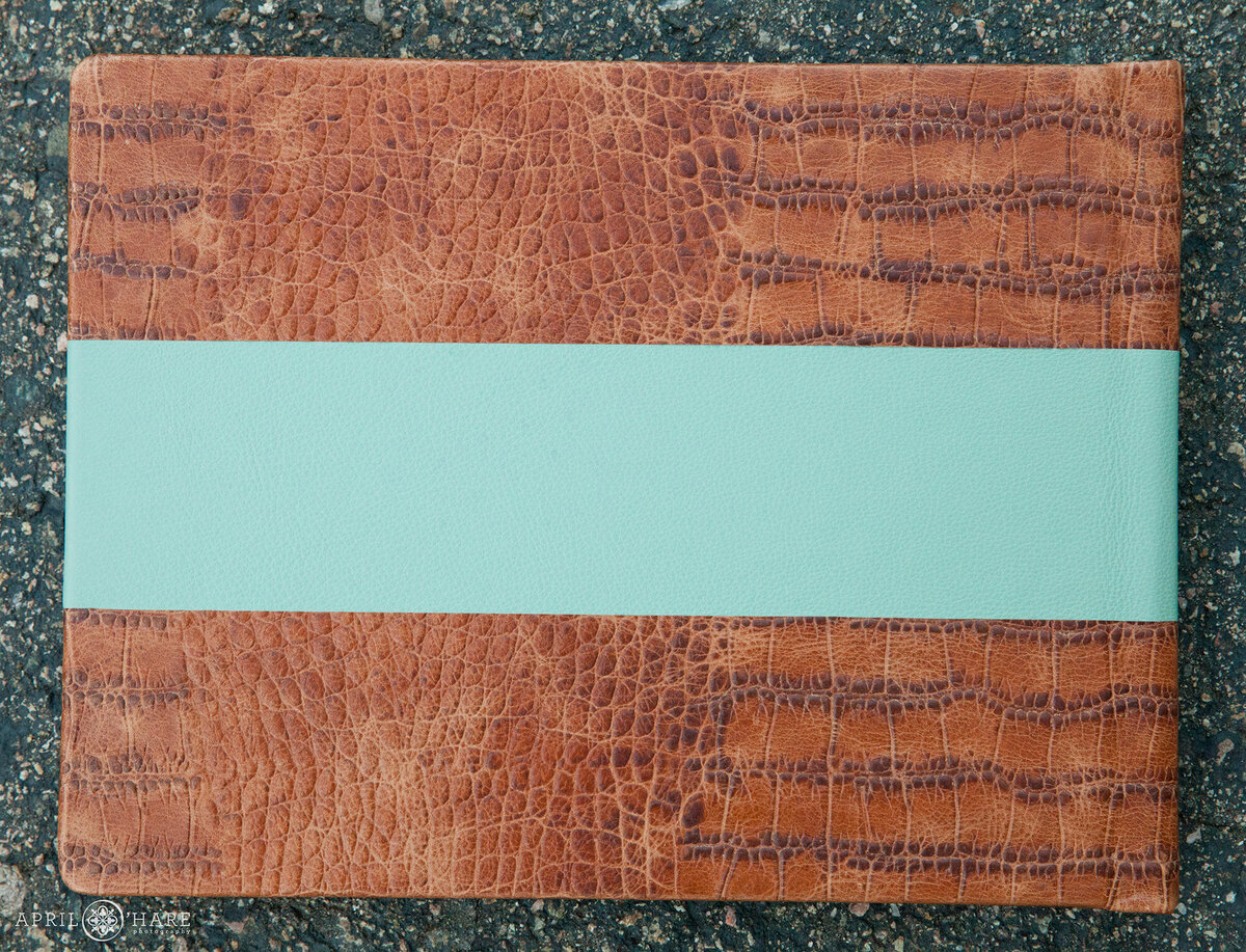 Brown Lizard Style Leather on an Album with a Aqua Blue Stripe
