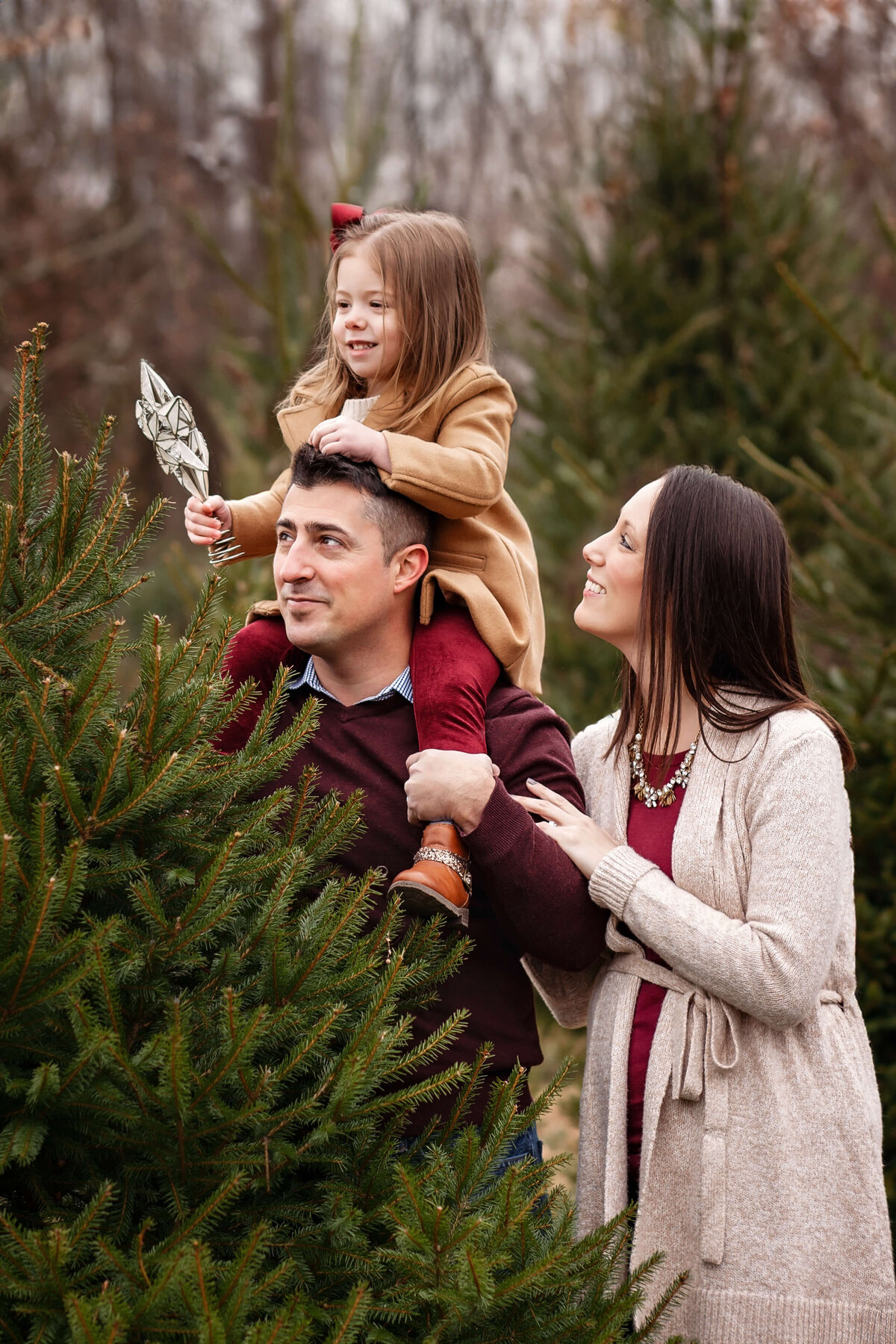 family and dad with his daughter on his shoulders putting a ornament on the top of the tree at a family photography session