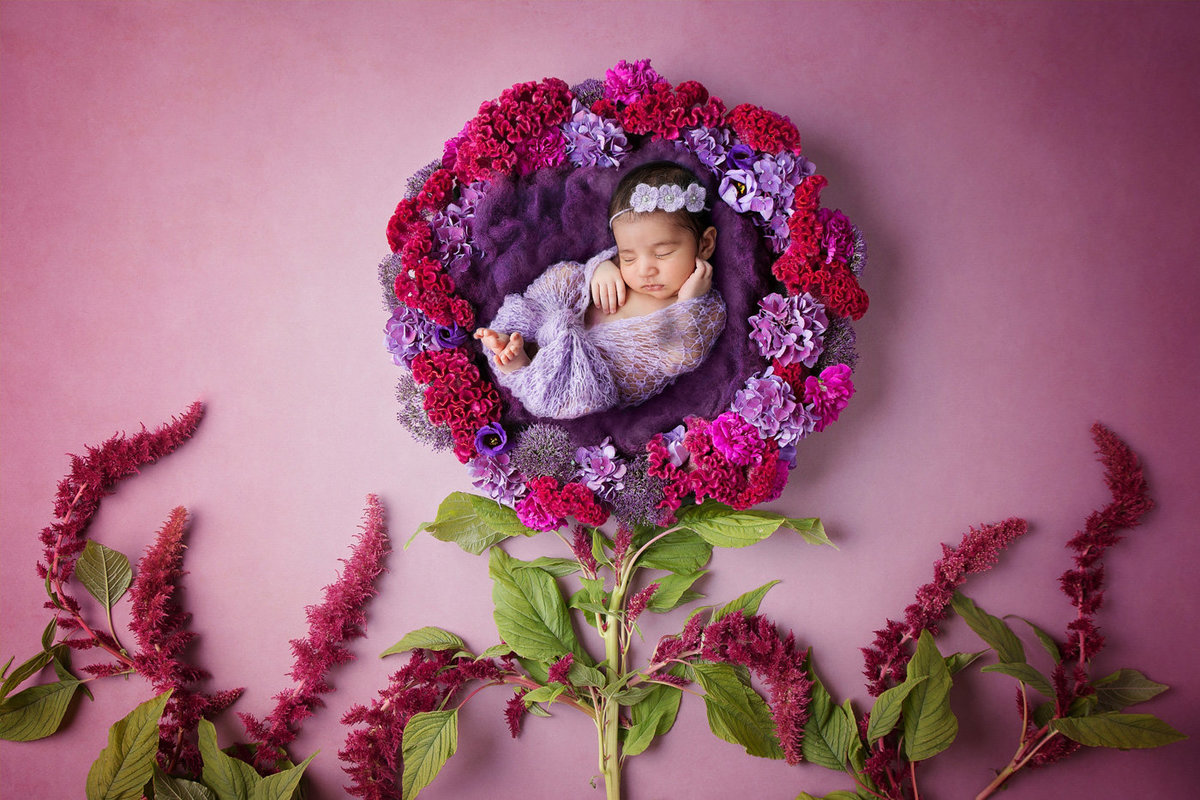 newborn in flowers260