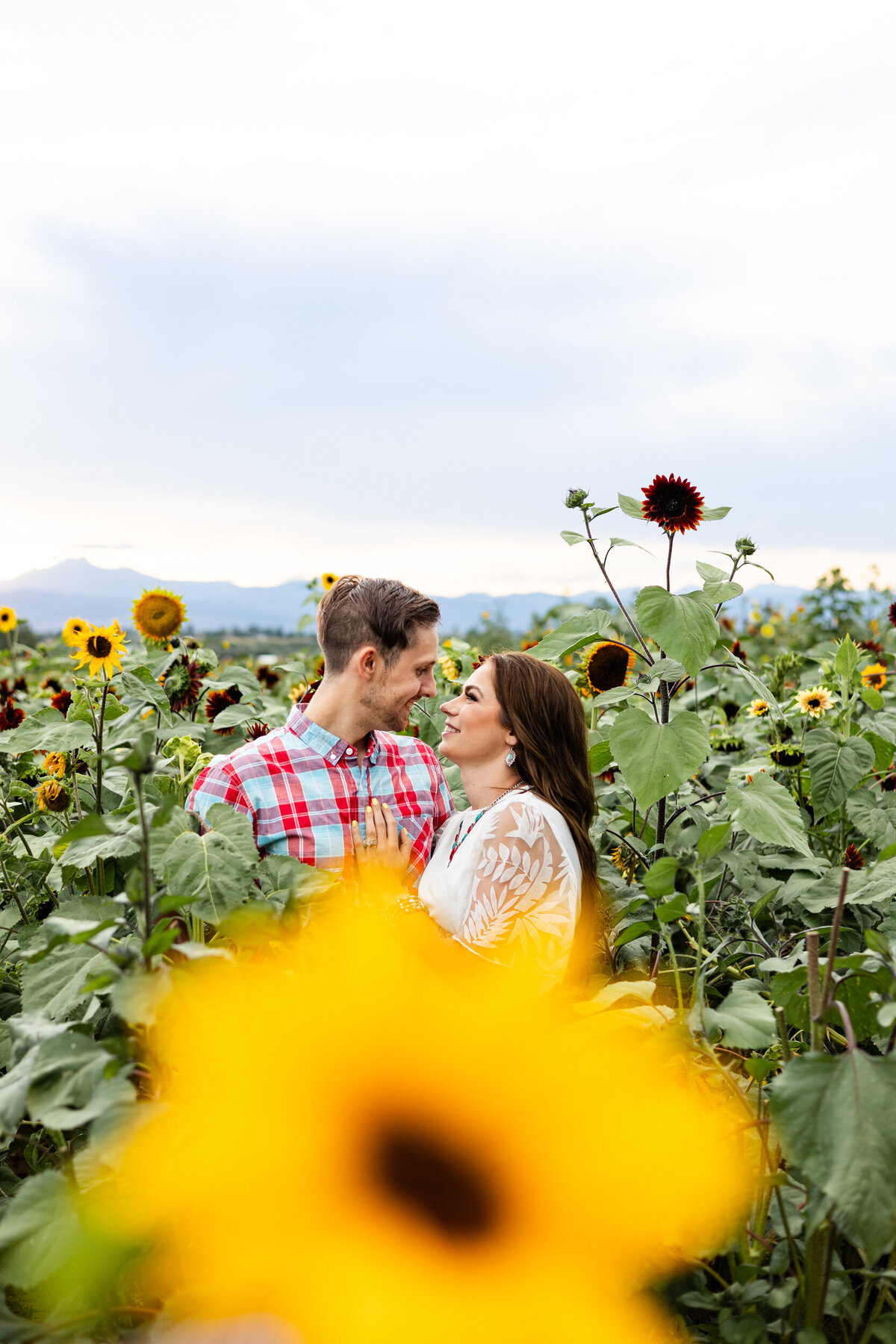 Colorado-sunflower-field-photography-18