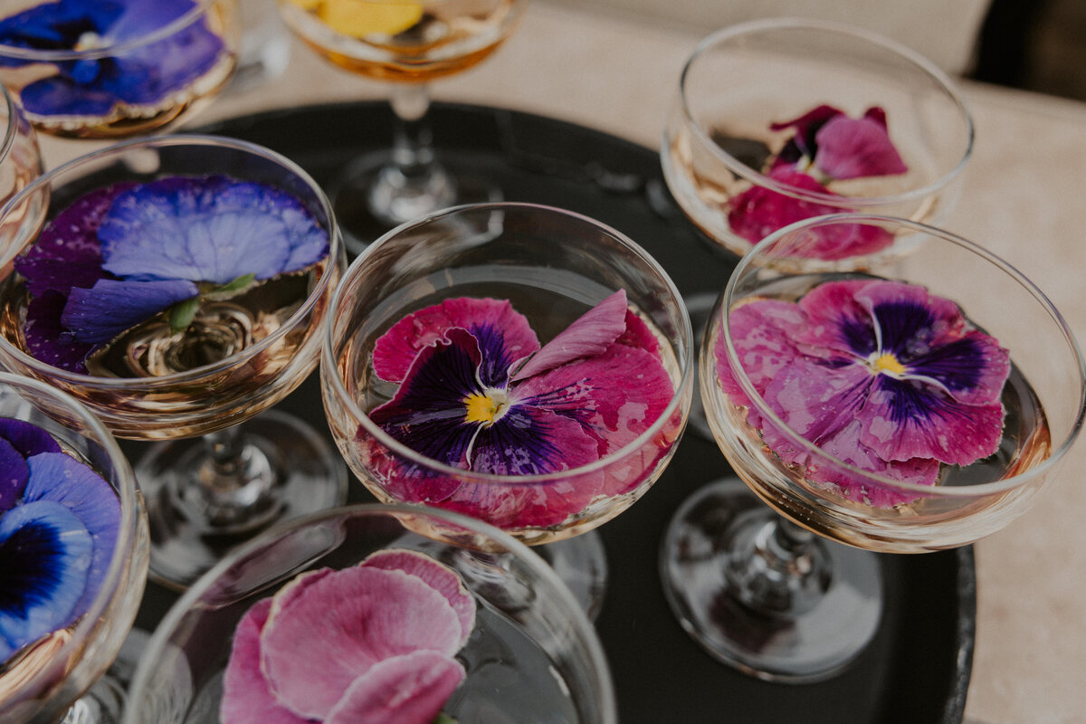 Marisa&amp;Jason_Half_Moon_Bay_Wedding_Trinity_Rose_Photography_Cocktail_Hour-73