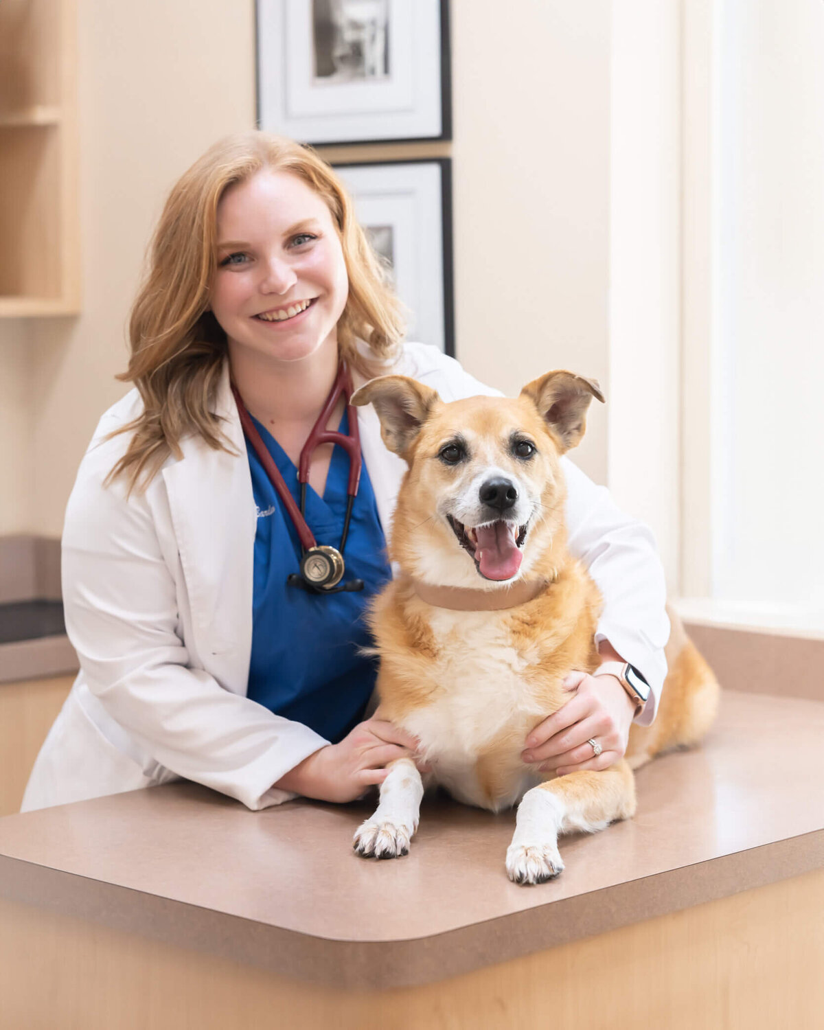 Vet's office branding session, individual headshots of all staff with their pets, this one is a vet with red hair and her tan and white dog in an exam room
