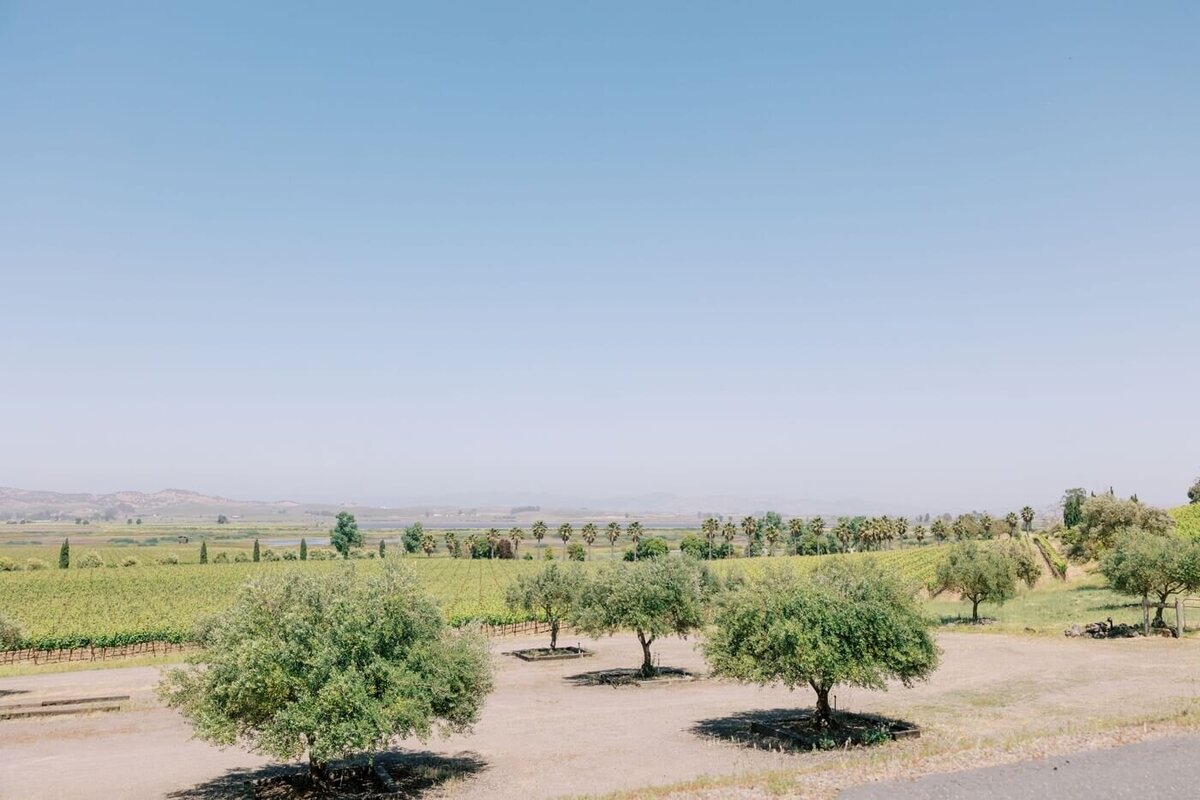 viansa winery sonoma california_0016