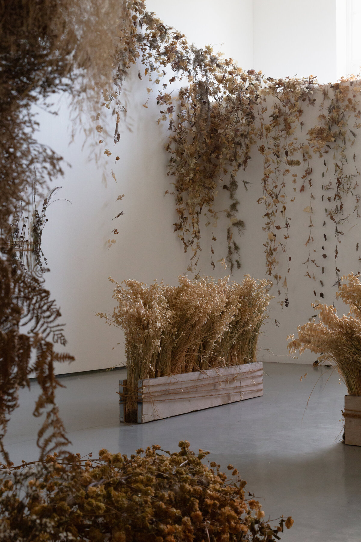 Contemporary Floral Art Installation Wales (20)