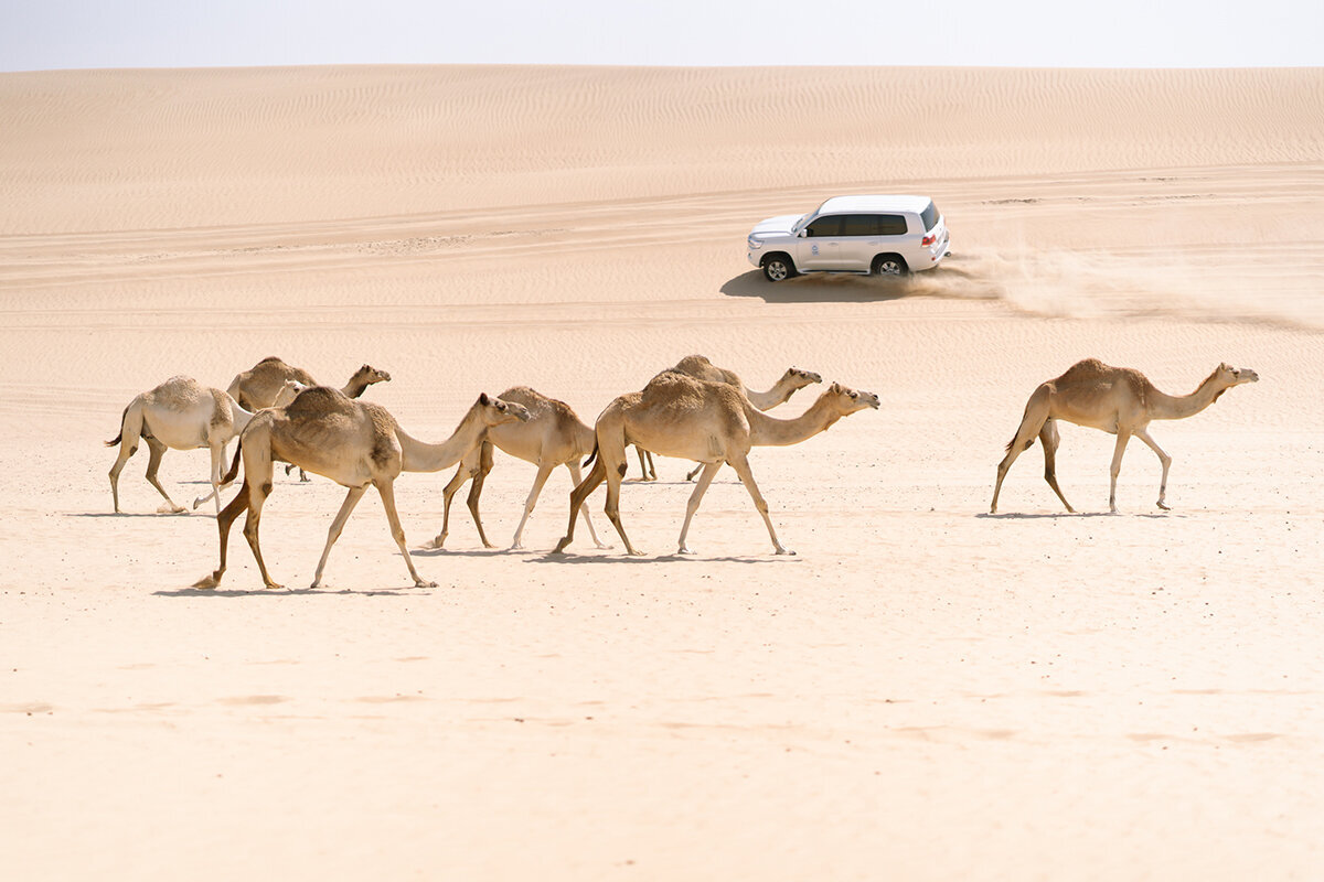 Michelle Norwood Living - Luxury Travel Inspiration - Dubai - thejoee_0360