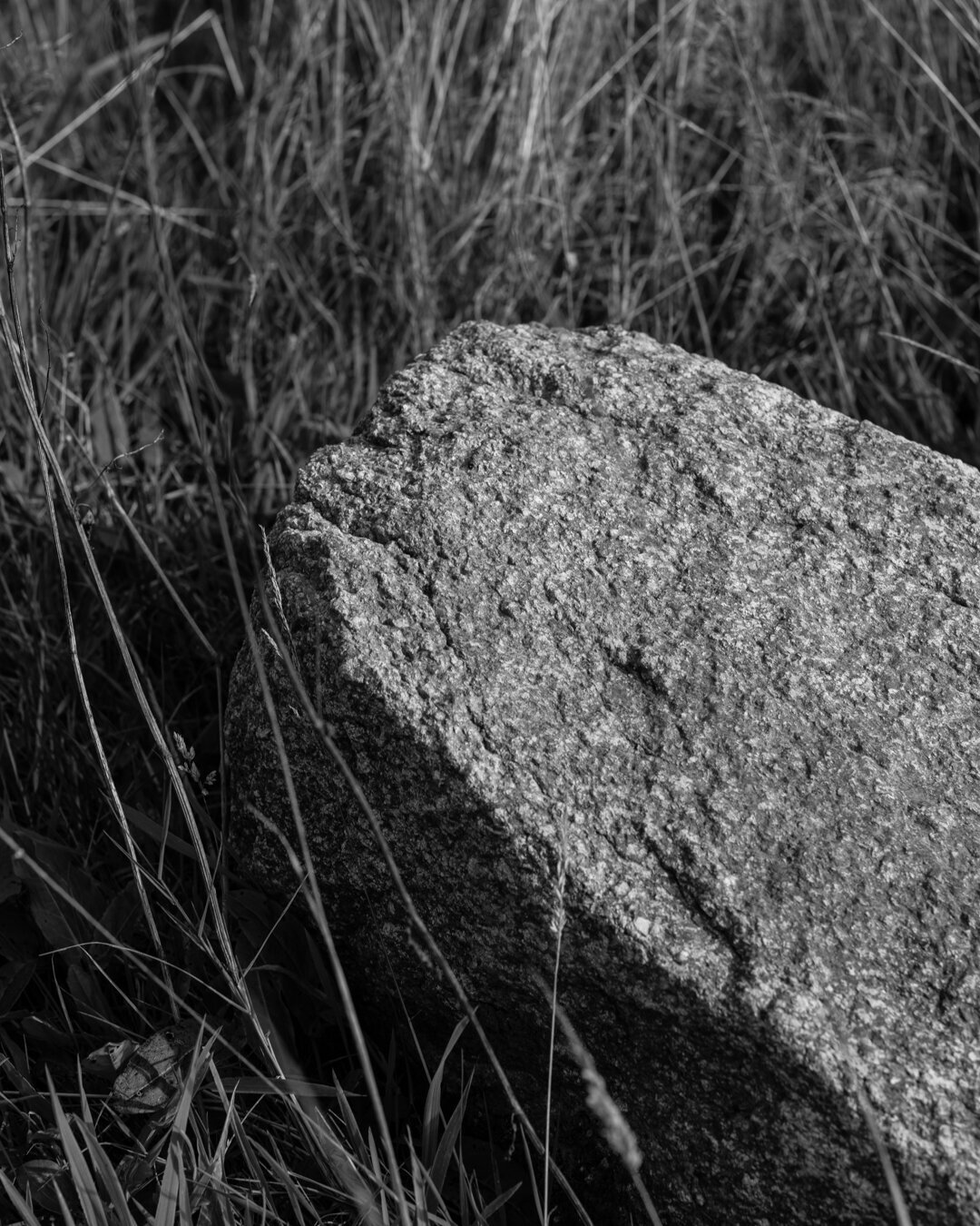 AB6A0939-154