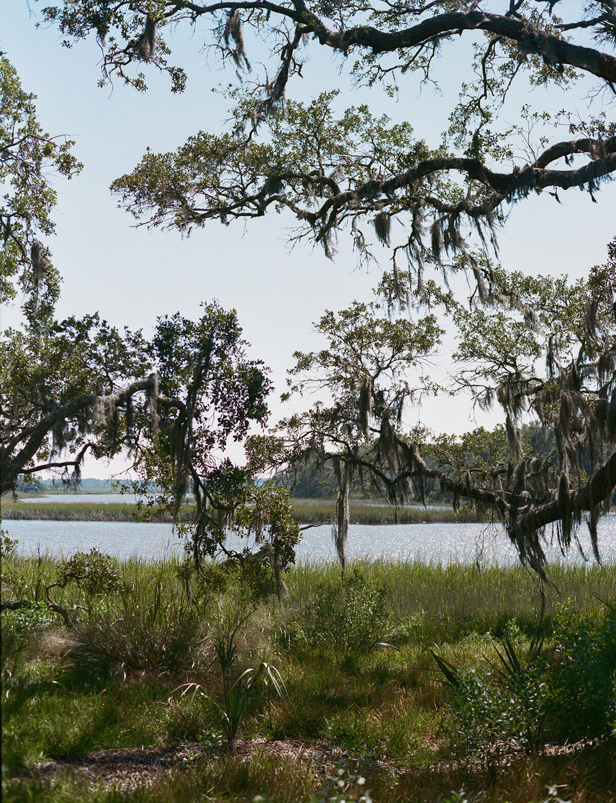 Izzy & Charles_Film Preview-19