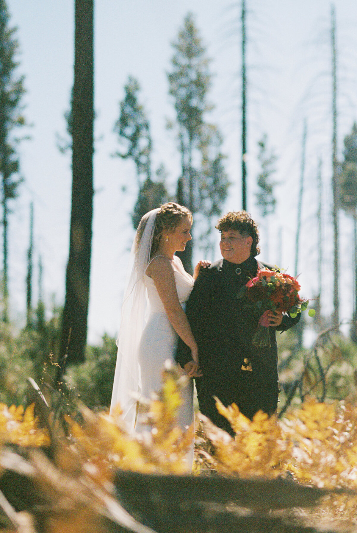 Philadelphia Wedding Photographer - FILM 50