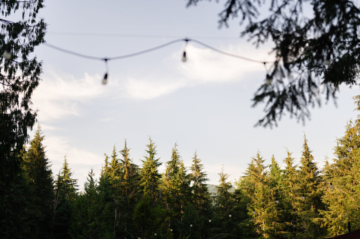 Moon-Mountain-Lodge-Wedding_Caylie-Mash-Photography_NE599