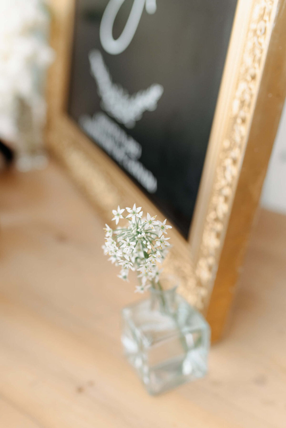 Kelowna-wedding-photographer (23)