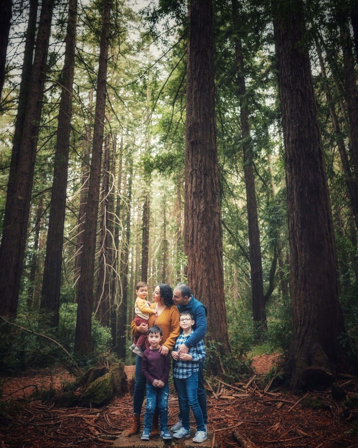 Family of five snuggles up among redwood trees