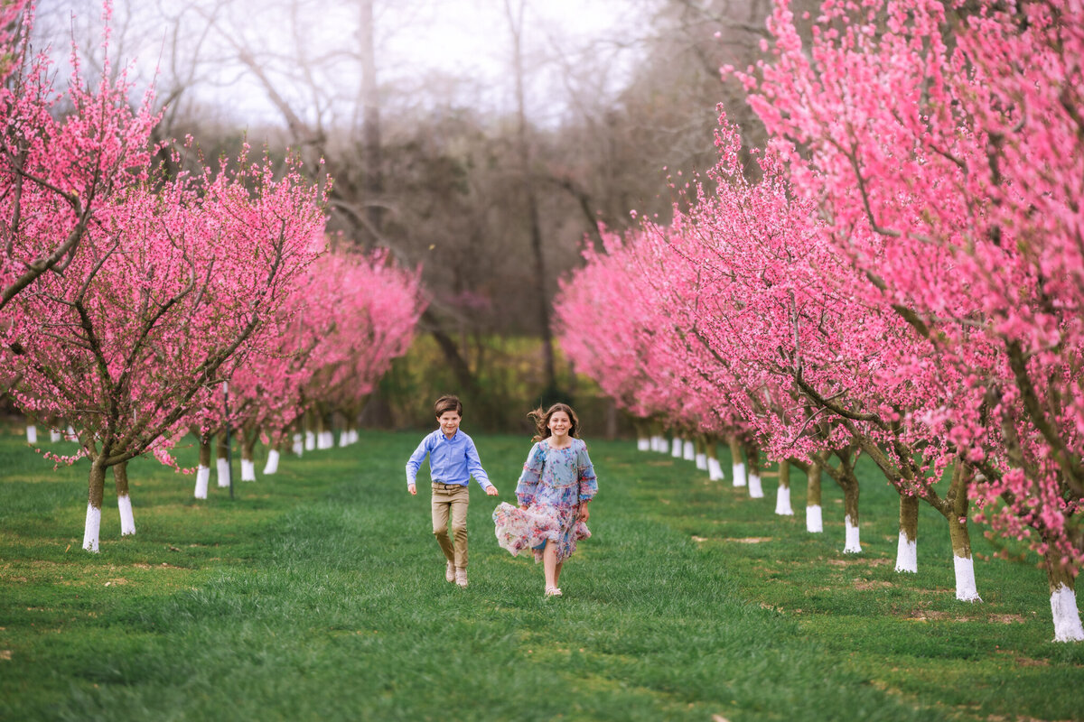 Raleigh-family-photographer-2090