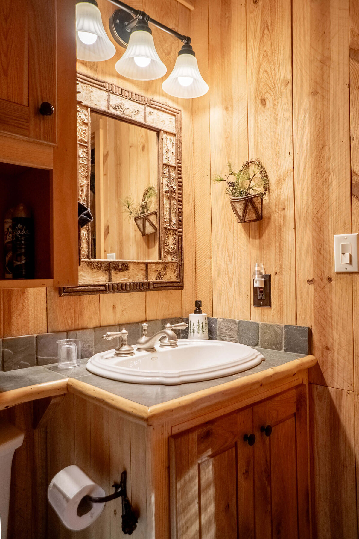wolf-pen-gap-cabin-timber-wolf-9