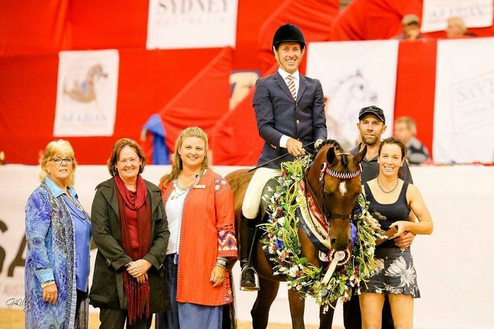 JLW EQUITATION (10)