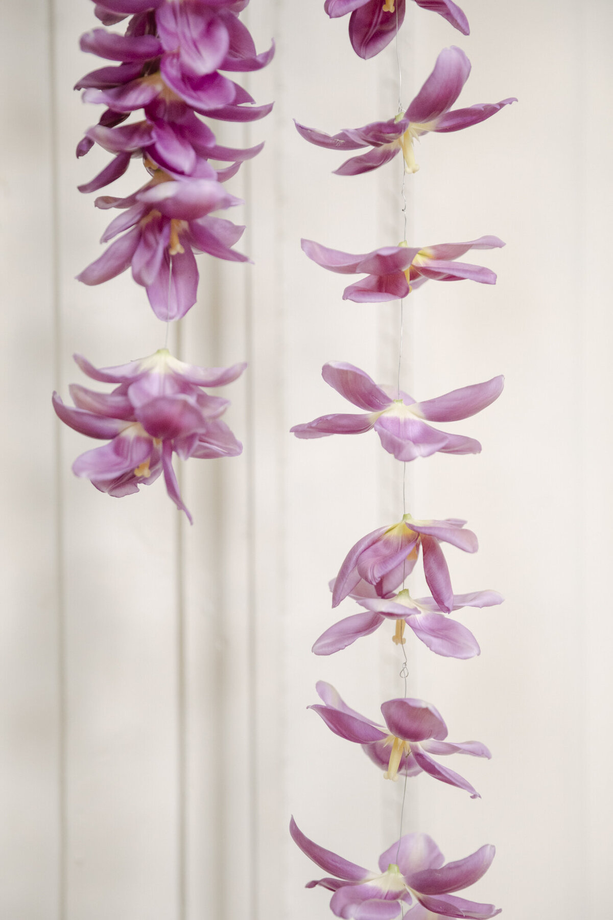PERRUCCIPHOTO_GLOSTER_HOUSE_SMP_155