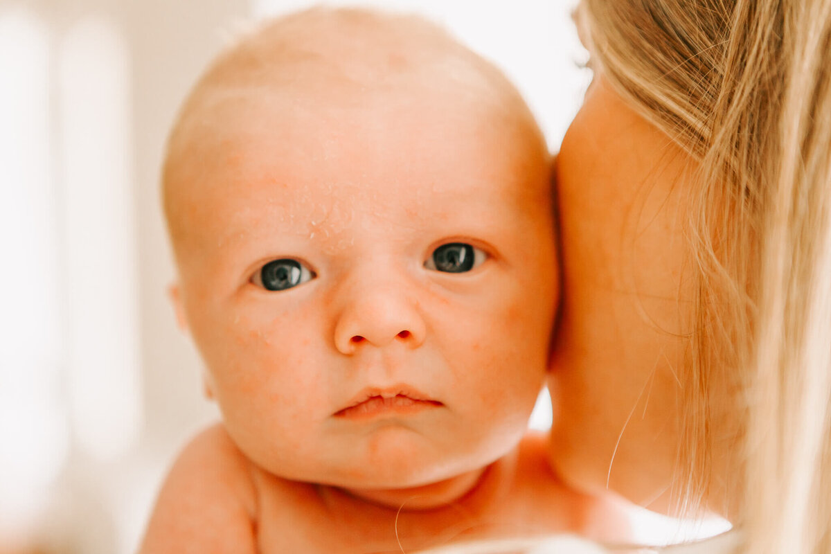 Albany-Newborn-Photographer-857