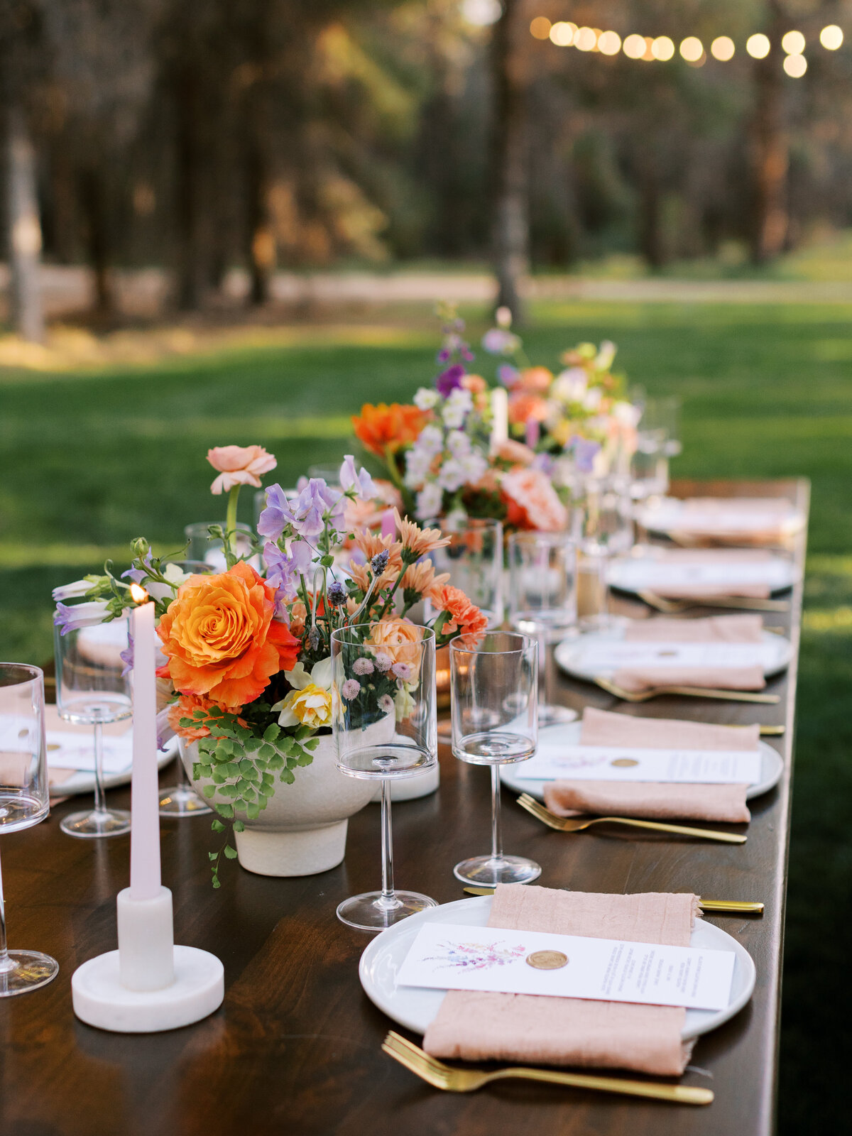 023_Sara_Bishop_Spring_Meadows_Schnepf_Farms_March 05_ 2024