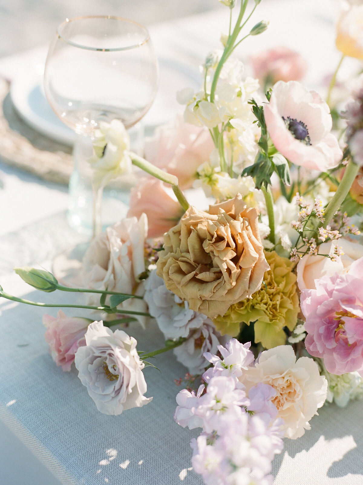 Detail shot of the roses