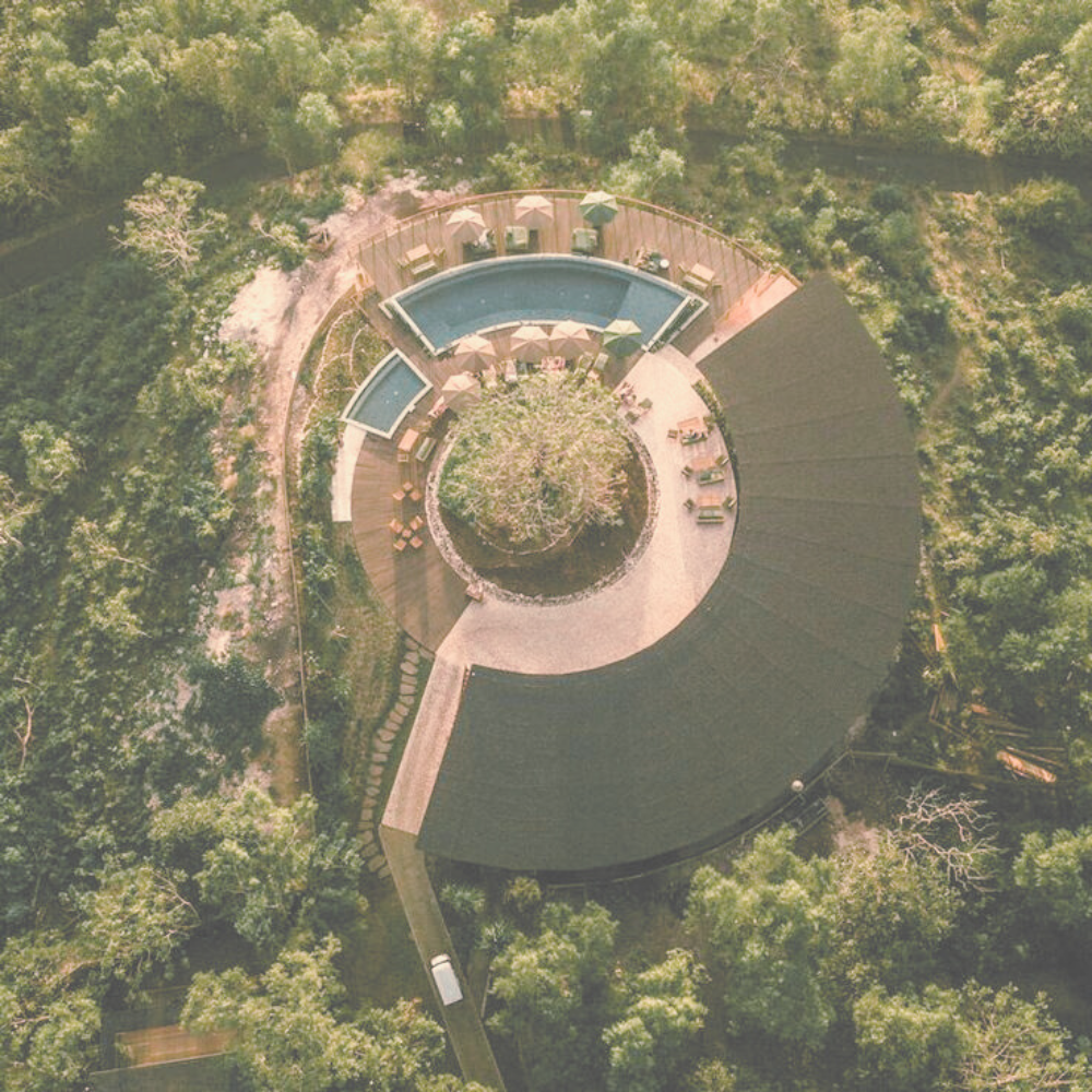 Untitled (1000 x 1000 px) (6)