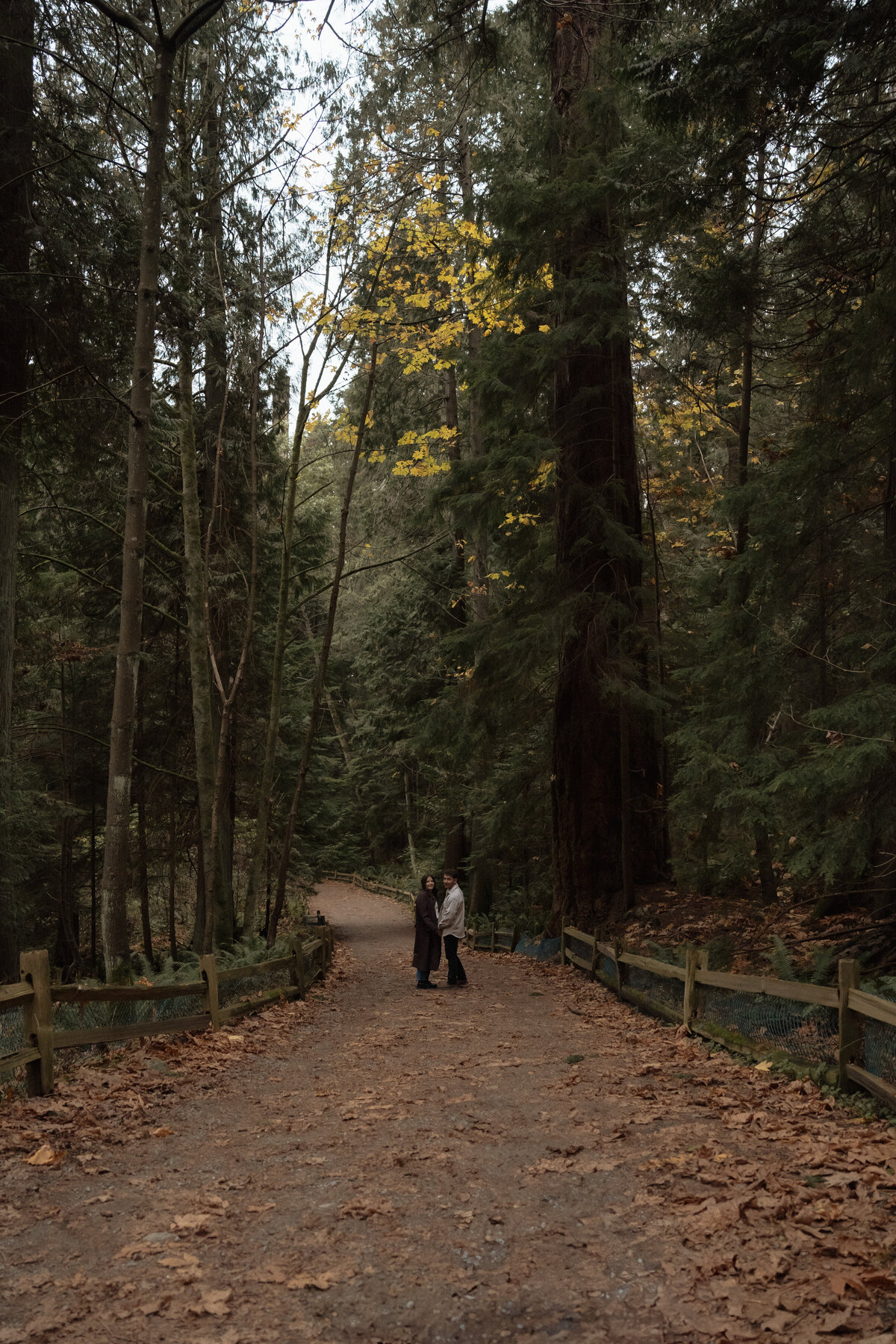 Lighthouse-Park-Vancouver-Engagement-Photoshoot-1