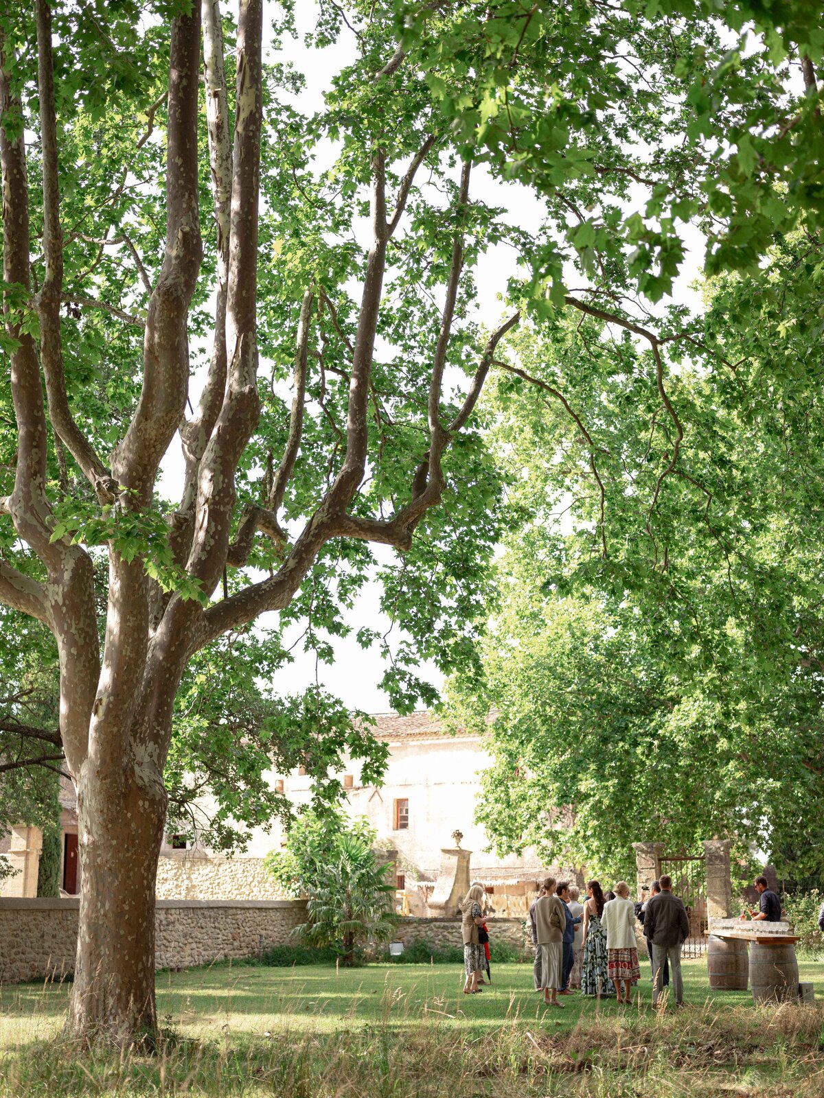 WhiteEdenWeddings_Provencal-welcome-dinner-1