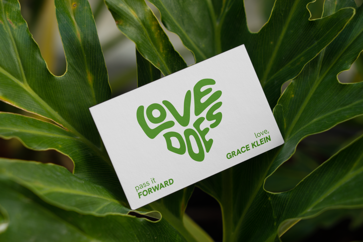 Free Business Card Between Ficus Mockup