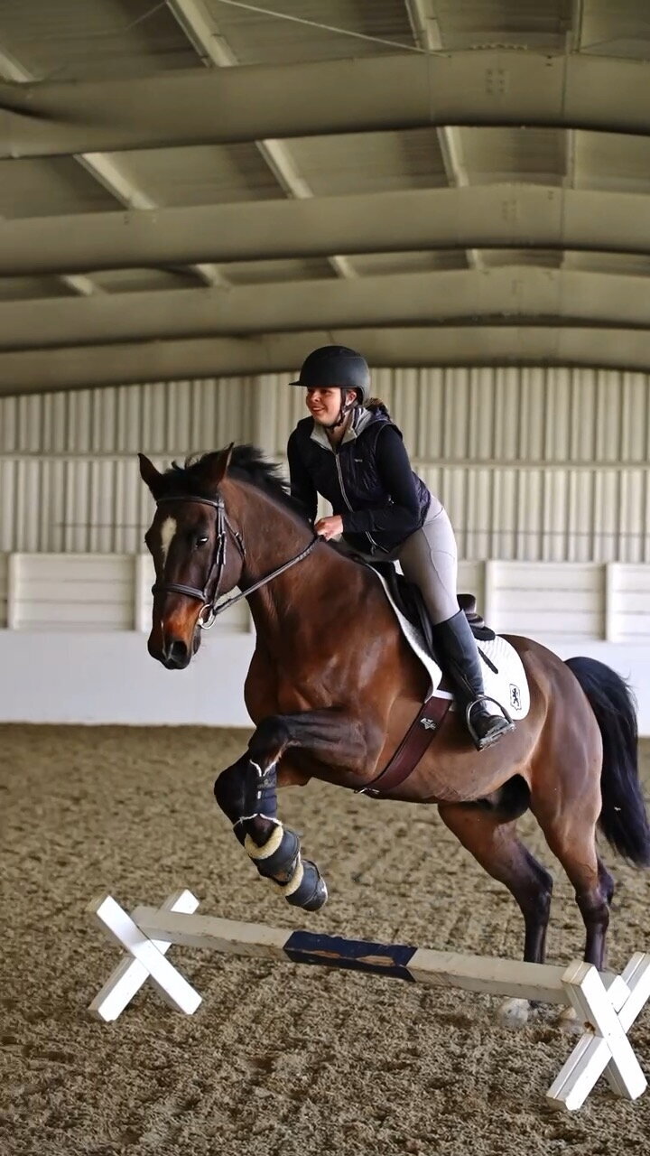 An adult-amateur equestrian taking a jumping lesson, she is on a bay horse that is jumping a small cross rail