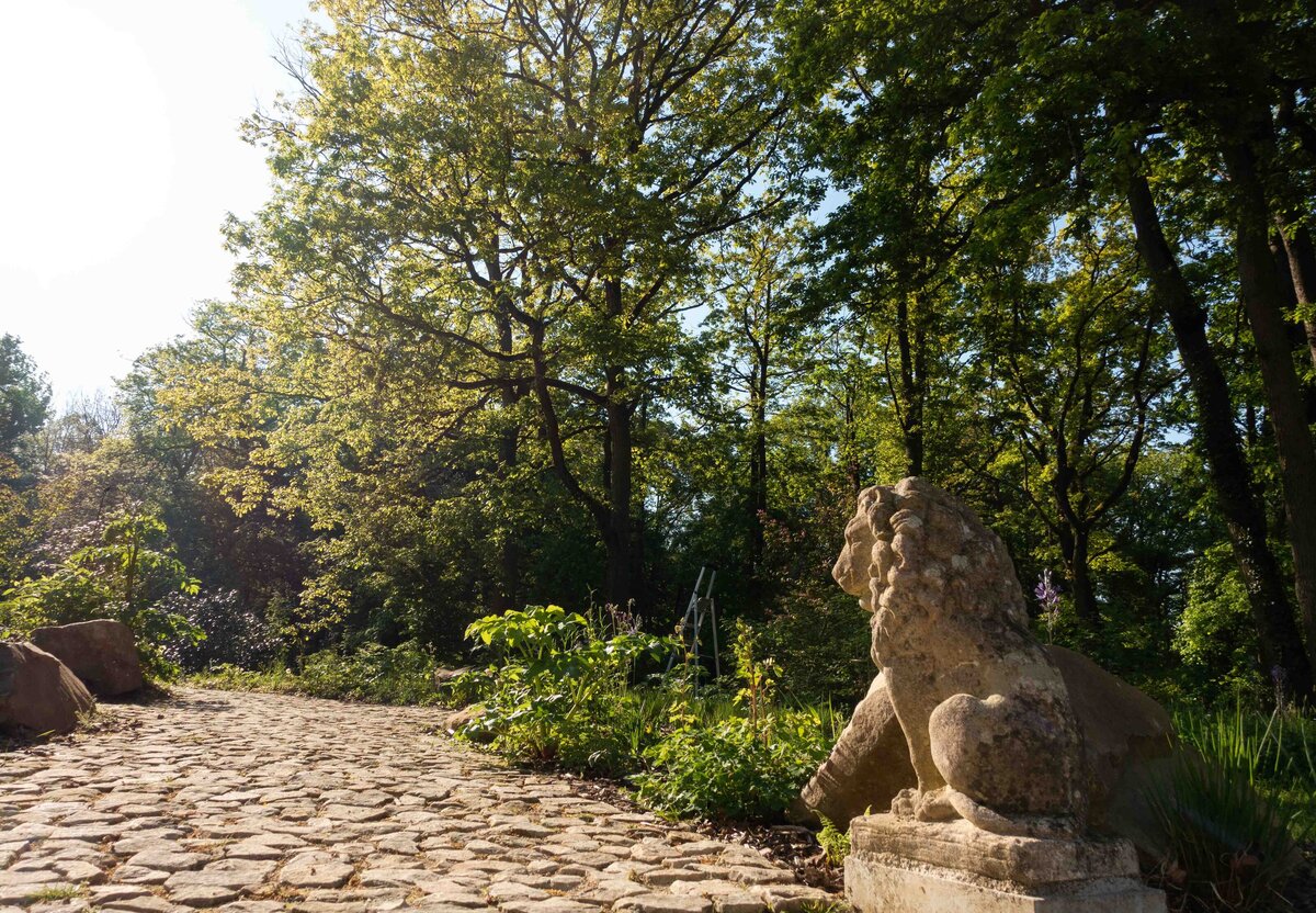 Horus paysages_Stanislas JUNG-41