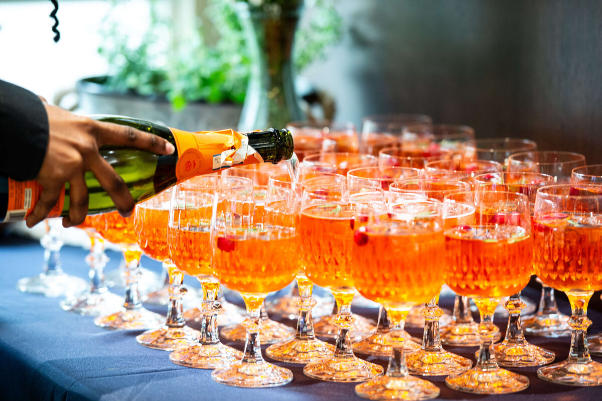 Ottawa-Event-Photographer-LWG-0615