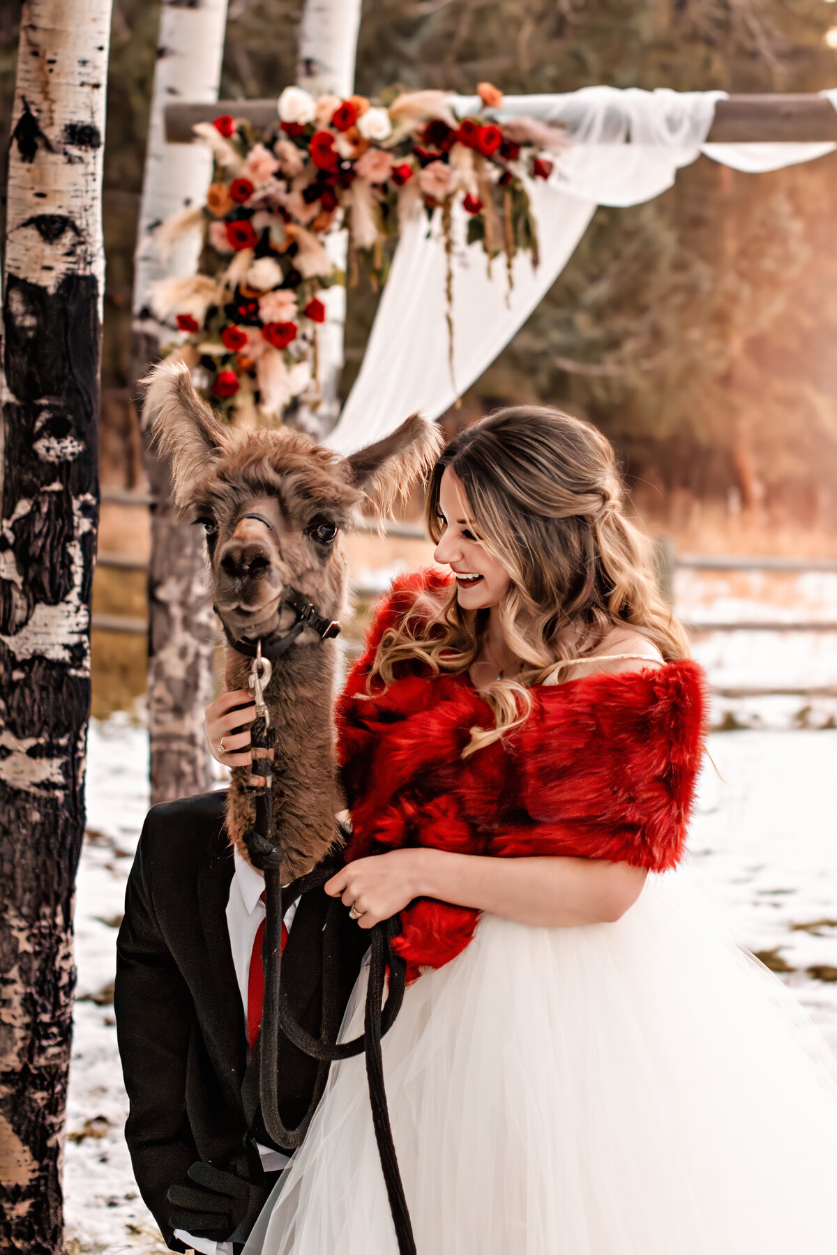 LLAMAS-angelique-alcaraz-photography-05-new