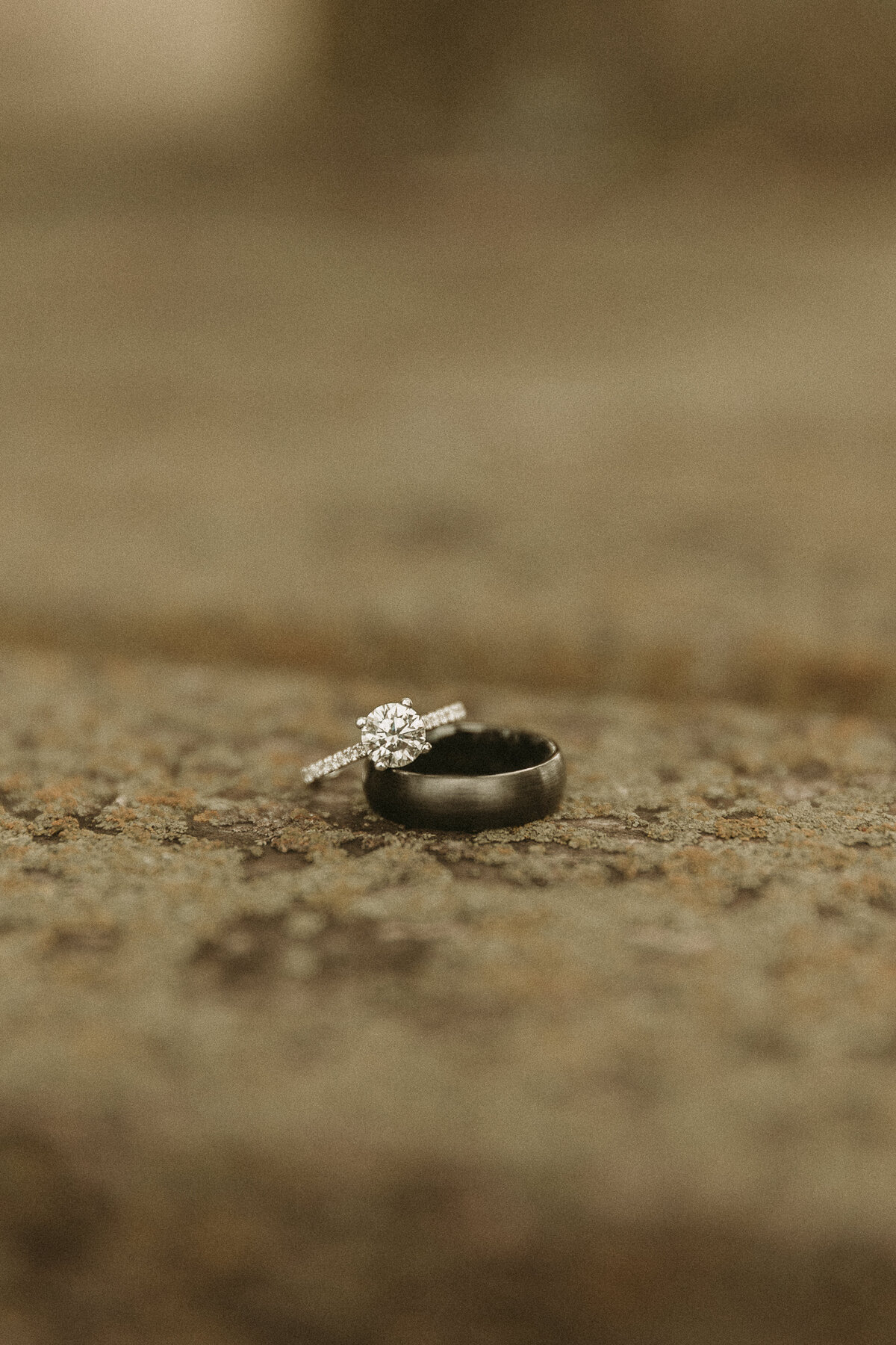 AbbyReePhotography-JohnsonWeddingRingDetails-4