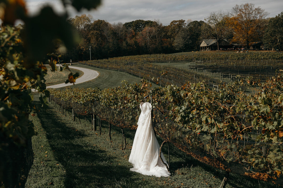 beautiful couple captured by Rachel Boyd Photography