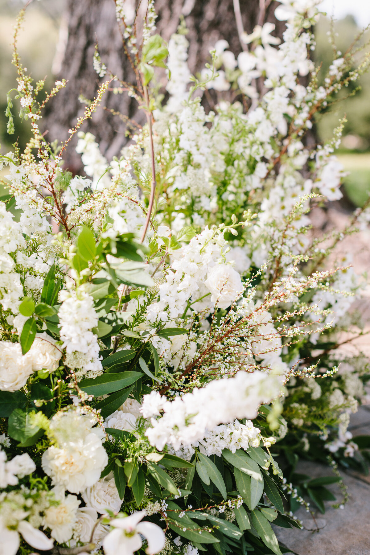 Best California Wedding Photographer-& Co by Jodee-Jodee Friday & Co-202