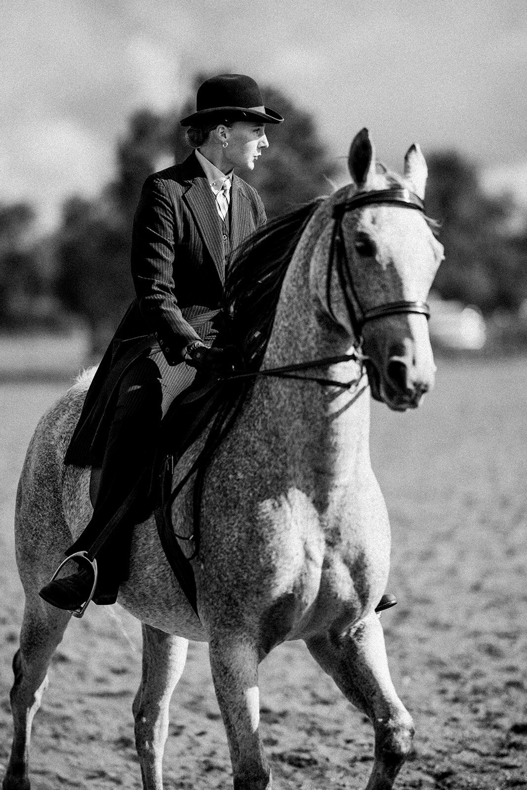 Equestrian Photography451