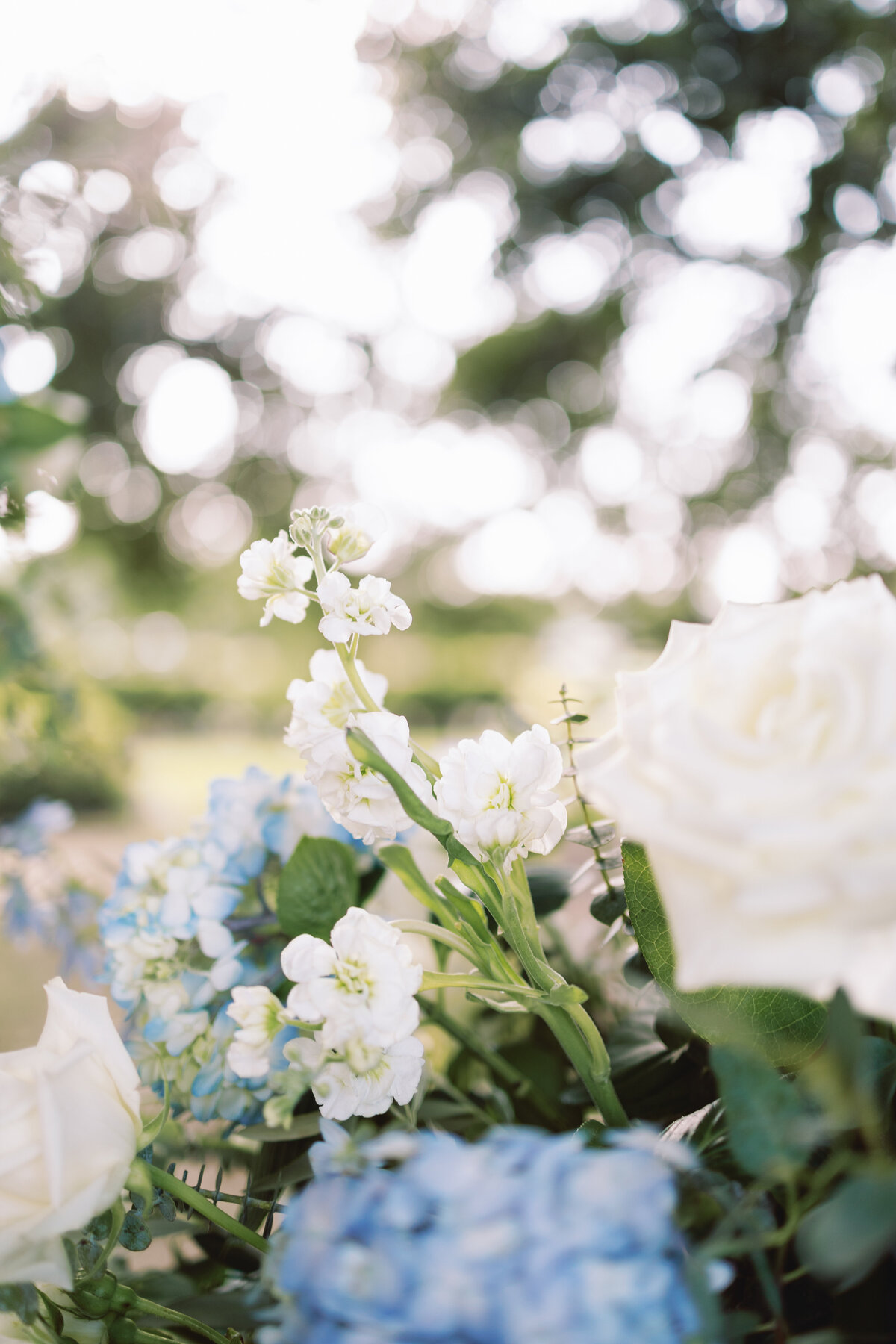 New Orleans Wedding Photographer