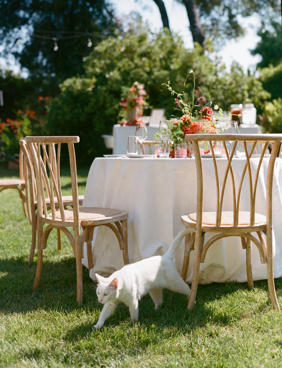hilary-and-arnaud-welcome-party-kristine-herman-photography-35