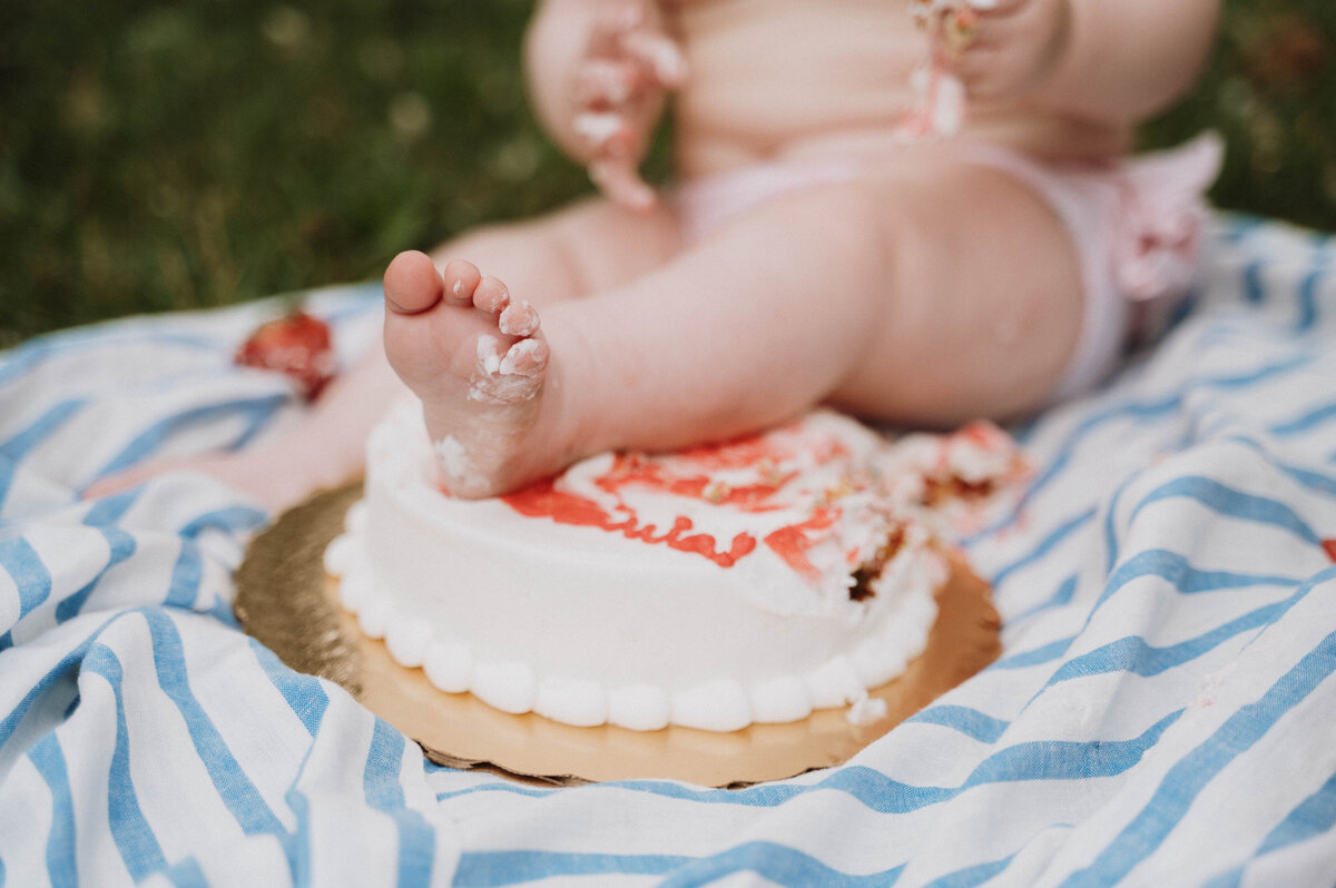 Sacramento Family Photographer