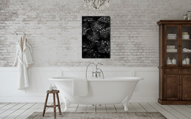 Fine Art Flower Photography Black and White Metal Print on display hanging above bathtub on brick wall title Dewdrop closeup of raindrops on flower leaves