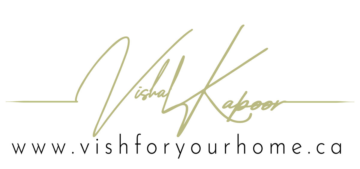 Vishal Kapoor_Logo + Website